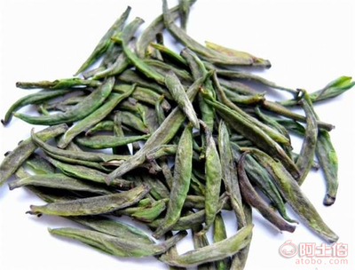 一杯白毛茶，百年山野香——乐昌市茶源茶叶专业合作社的手作春韵
